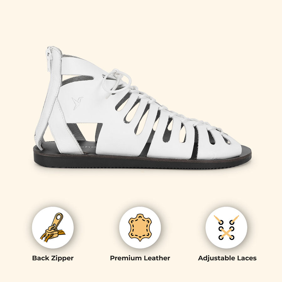 Gladiator