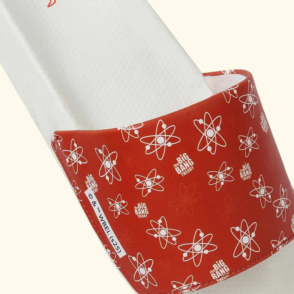 Big bang theory 001 Sliders for Women