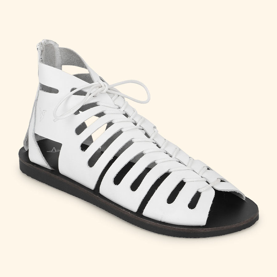 cl-White,White